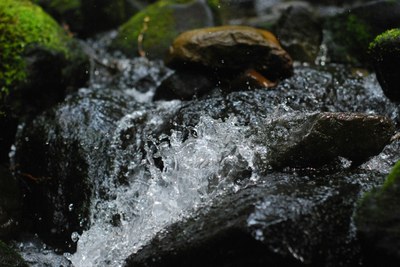 Water savings for a water-resilient Europe