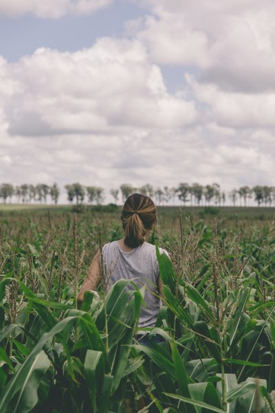 How pesticides impact human health (Signal)