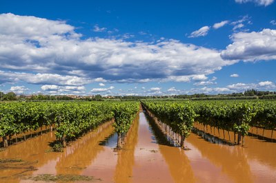 Preparing society for climate risks in Europe - lessons and inspiration from Climate-ADAPT case studies